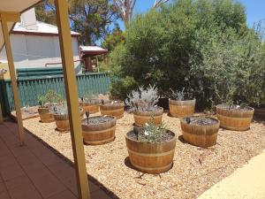 HawkerFlinders Ranges Bed and Breakfast的相册照片