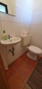 łazienka z toaletą i umywalką w obiekcie Lechbruck am See Feriendorf Hochbergle Haus 7 w mieście Lechbruck am See
