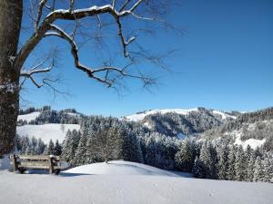 Klein aber fein v zime