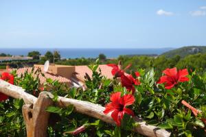 Un mazzo di fiori rossi su una recinzione di legno di Villas Menorca Sur a Son Bou
