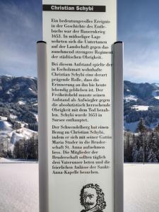 Klein aber fein v zime