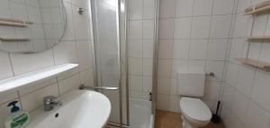 ein Badezimmer mit Toilette, Waschbecken und Spiegel in der Unterkunft Lechbruck am See Feriendorf Hochbergle Haus 37 in Lechbruck + 21 Fotos