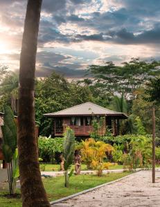 a house in a garden with a palm tree at Catalina's Hideaway in Santa Catalina