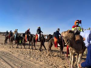 a group of people riding on camels in the desert at Desert Sparrow Luxury Camp in Merzouga