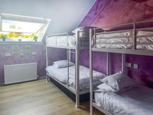 two bunk beds in a room with a purple wall at Broadford Backpackers Hostel in Broadford