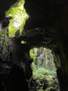 een donkere grot met een raam erin bij JUNGLE LIFE GUEST HOUSE - Trekking & Transport Only Book With Us in Bukit Lawang