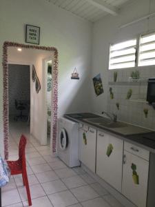 eine Küche mit einer Spüle und einer Waschmaschine in der Unterkunft ALLEGRO in Pointe-à-Pitre