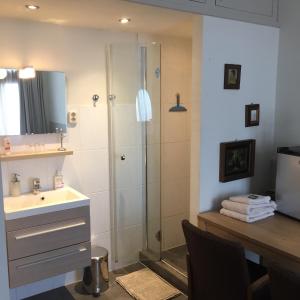 een badkamer met een douche en een wastafel bij Cessinas in Groningen