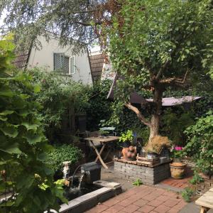 ogród ze stołem i drzewem w obiekcie Cessinas w mieście Groningen