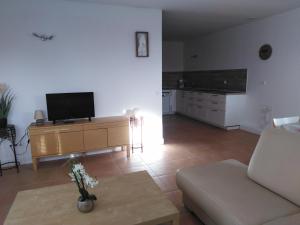 uma sala de estar com um sofá e uma televisão em Gîte Les Songes em Canet
