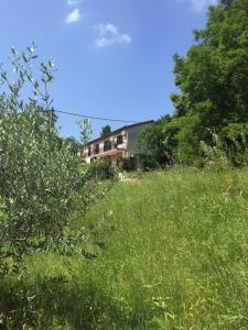 Photo de la galerie de l'établissement Apartment Cimbora, Salara farmhouse, à Koper