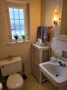 a bathroom with a toilet and a sink and a window at The Brower House in Saint Cloud