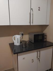 a kitchen counter with a microwave and a toaster oven at The Grace quest house in Ngodini