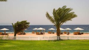 una spiaggia con sedie e ombrelloni e l'oceano di Tropitel Dahab Oasis a Dahab
