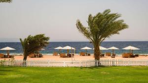 einen Strand mit Liegestühlen und Sonnenschirmen und dem Meer in der Unterkunft Tropitel Dahab Oasis in Dahab