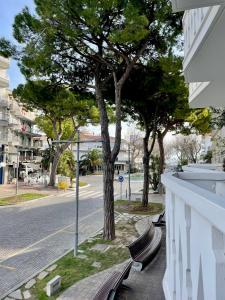 uma árvore ao lado de uma rua com bancos em Rondinella Suite em Lignano Sabbiadoro