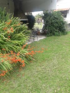 a garden with orange flowers in the grass at Chalet La Floresta in La Floresta