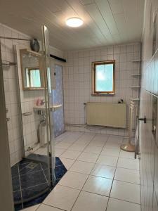 y baño con ducha y lavamanos. en Haus im Grünen 1.700m Grundstück, en Chemnitz