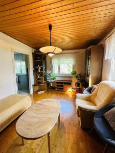 sala de estar con sofá y mesa en Haus im Grünen 1.700m Grundstück, en Chemnitz
