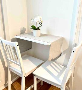 un tavolo e due sedie con una pianta in vaso di A beautiful studio flat with garden a Londra