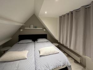 1 dormitorio con 1 cama con 2 almohadas en Appelbloesem, en Bergen