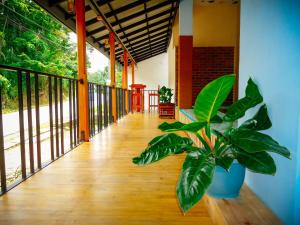 Balkón nebo terasa v ubytování Eyeful Ella Hostel