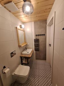a bathroom with a toilet and a sink at Domki Szczyt Beztroski - Sauna, Jacuzzi in Nowy Targ
