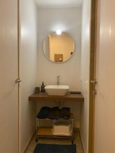 ein Bad mit einem Waschbecken und einem Spiegel in der Unterkunft Central Studio in Kortrijk in Kortrijk