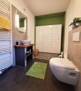 a bathroom with a white toilet and a sink at Ideal für kurze Aufenthalte – gemütliches 1-Zimmer-Apartment in Adelsdorf