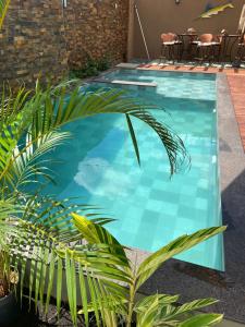 a swimming pool in a house with plants at POUSADA MALA E CUIA in Rifaina