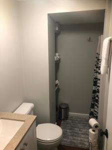 a bathroom with a white toilet and a shower at Cozy&Quiet*Fenced backyard* 17 Mins UT MktSquare in Knoxville