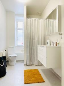 y baño con aseo y cortina de ducha. en Scandinavian Apartment Hotel - Industrimuseet - 3 room apartment, en Horsens