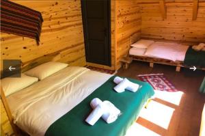 Φωτογραφία από το άλμπουμ του hostel viking σε Rize