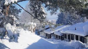a building covered in snow with snow covered trees at Lechbruck am See Feriendorf Hochbergle Haus 51 in Lechbruck