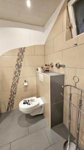 e bagno con servizi igienici e doccia. di Bei München Ferienwohnung in Grafrath "zur Amper" a Grafrath