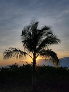 een palmboom met de zonsondergang op de achtergrond bij Casa temporada Ilhabela in Ilhabela
