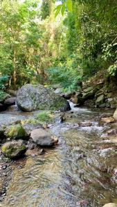 a stream of water with rocks and trees at Gordon Town Kotch in Kingston