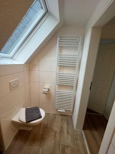 łazienka z toaletą i oknem dachowym w obiekcie Ostfriesenperle w mieście Aurich