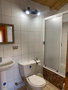 een badkamer met een toilet, een douche en een wastafel bij Cabañas Roka Caburgua in Pucón