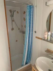 een badkamer met een douche en een wastafel bij Chalet hérisson in La-Roche-en-Ardenne