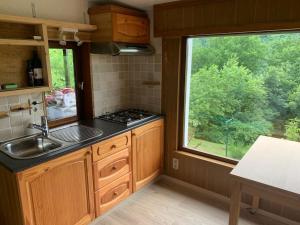 een keuken met een wastafel en een groot raam bij Chalet hérisson in La-Roche-en-Ardenne