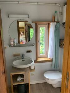 a bathroom with a sink and a toilet and a mirror at Chalet hérisson in La Roche-en-Ardenne