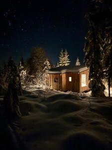 Forest cabin with stunning mountain view & Sauna talvel