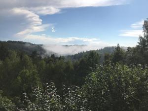 a view of a forest with clouds in the sky at Lesanka in Všelibice