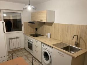 une cuisine avec un évier et une machine à laver dans l'établissement Appartement Le Männele, à Strasbourg 10 autres photos