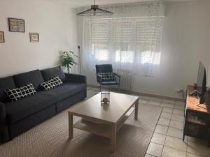 un salon avec un canapé et une table basse dans l'établissement Appartement Le Männele, à Strasbourg