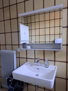 łazienka z białą umywalką i lustrem w obiekcie Appartment Resi wohlfühlen und relaxen w mieście Eberndorf