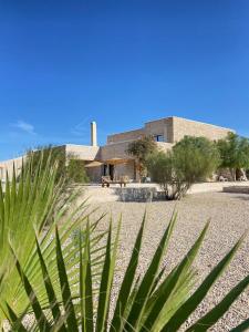 a house with a plant in front of it at Kaouki Lodge in Sidi Kaouki