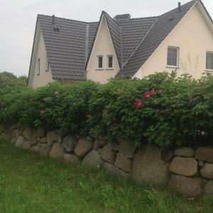 uma casa com uma parede de retenção e flores em Urlaubsglück Familien- & Hunde-Paradies em Rankwitz