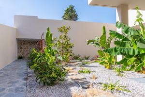 a garden with plants on the side of a building at Samos Tropic Apartments in Ríva
